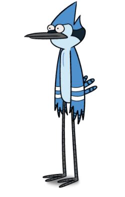 regular show mordecai wiki|how old are mordecai and rigby.